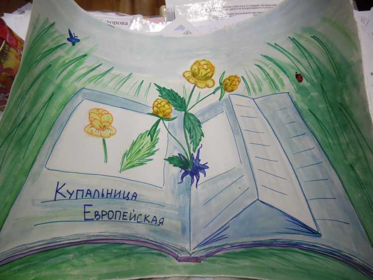 Красная книга глазами детей конкурс