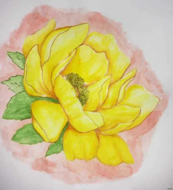 Жёлтые цветы акварелью для начинающих