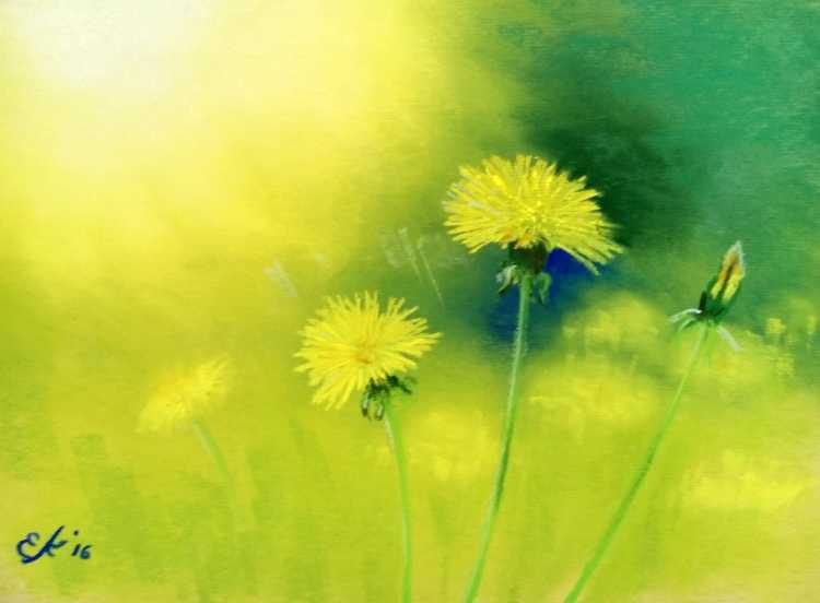 Одуванчики пастелью