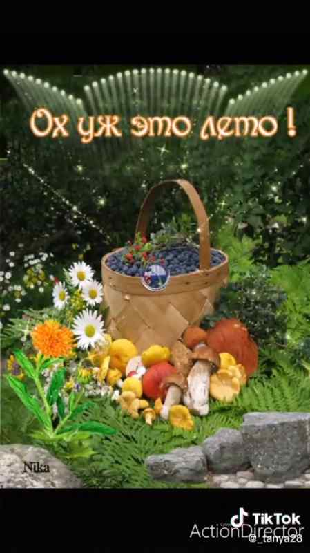 Раскраска. Лето