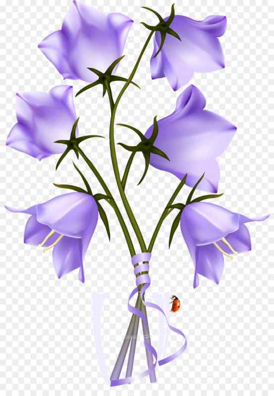 Колокольчики акварелью