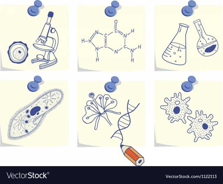 Экология животных