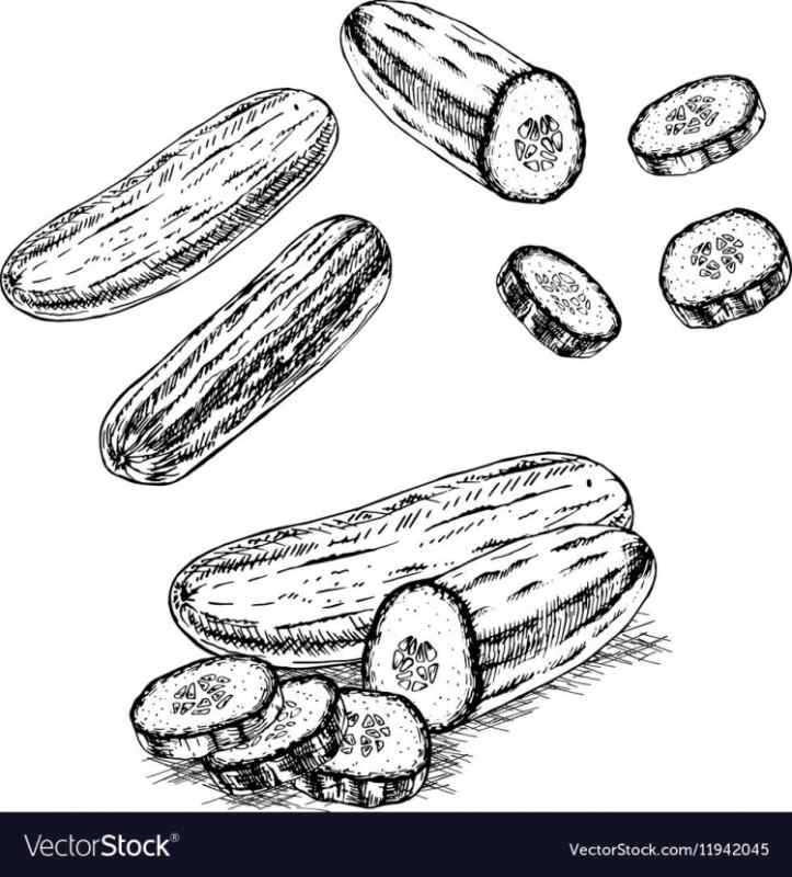 Огурец карандашом