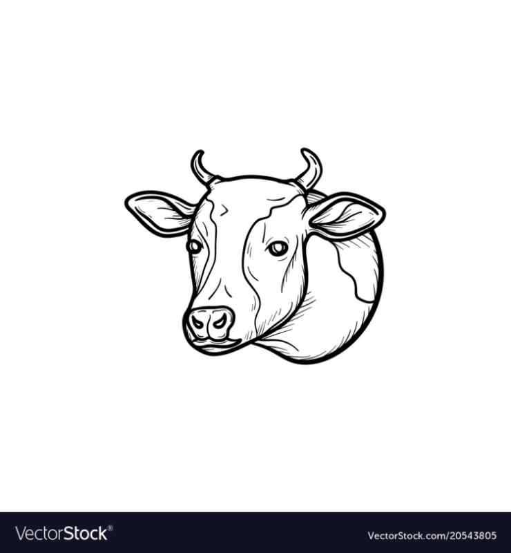 Голова коровы эскиз