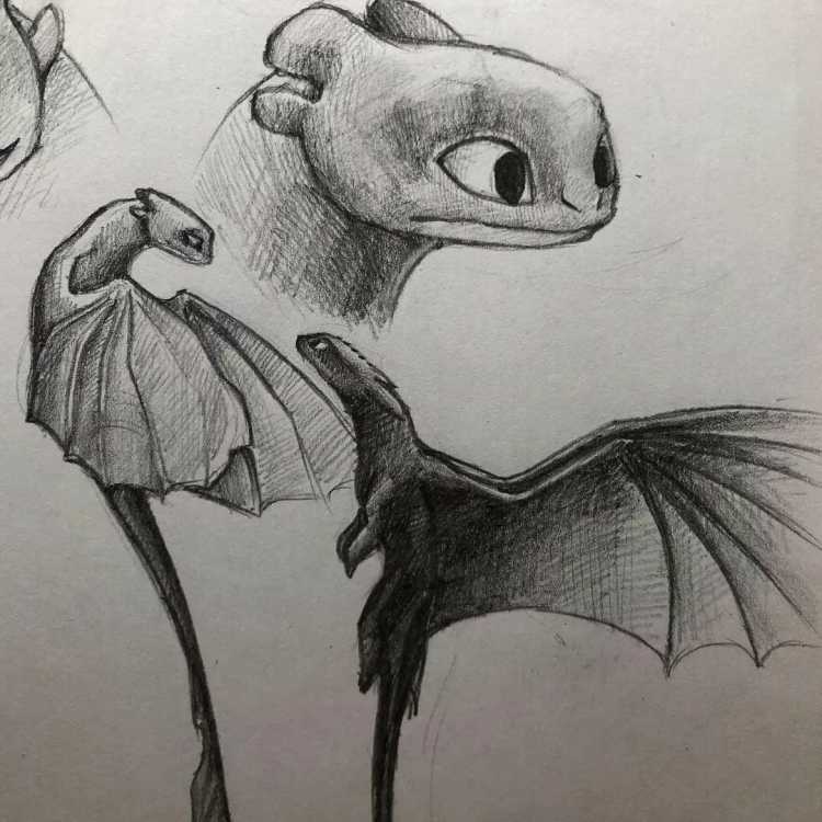 Приручить дракона дракониха белая