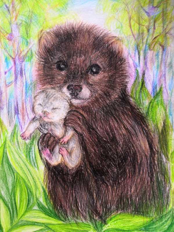 Красная книга глазами детей