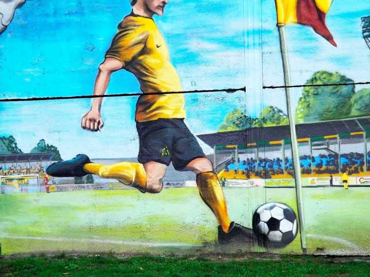 Картины на футбольную тему