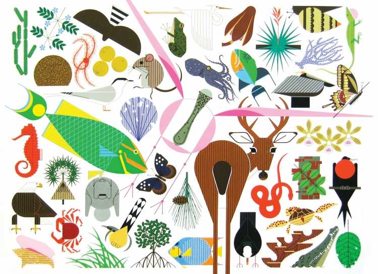 Защита природы