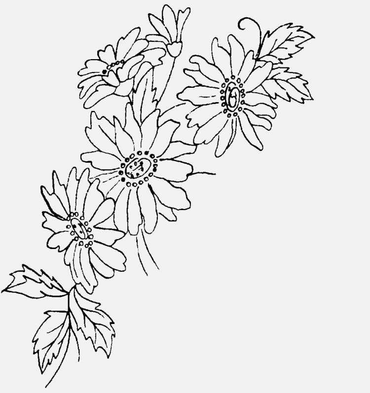 Узоры для вышивки гладью цветы