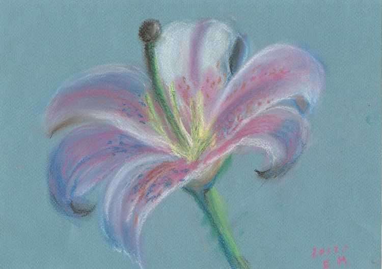 Пастель рисование цветы