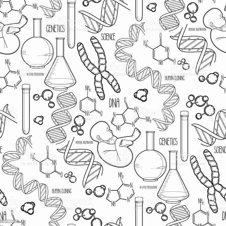 Биология иллюстрации