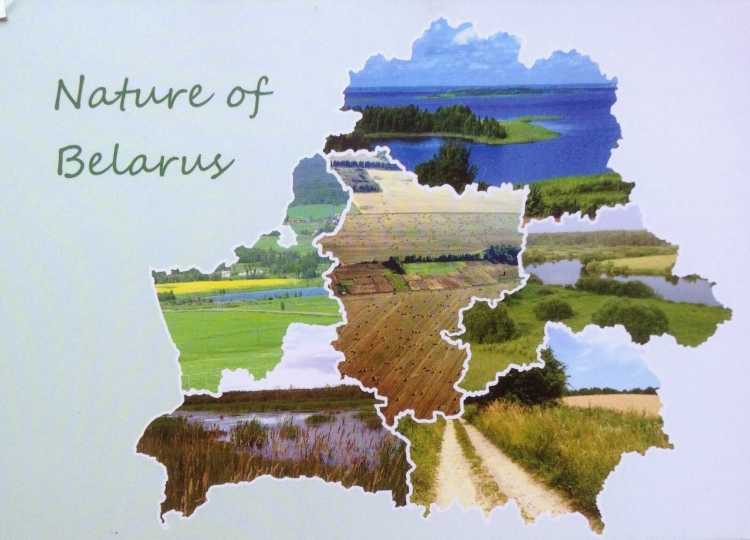 Открытки малая Родина