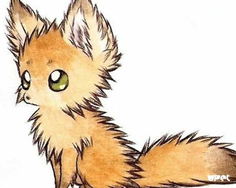 Картинки для срисовки лисята