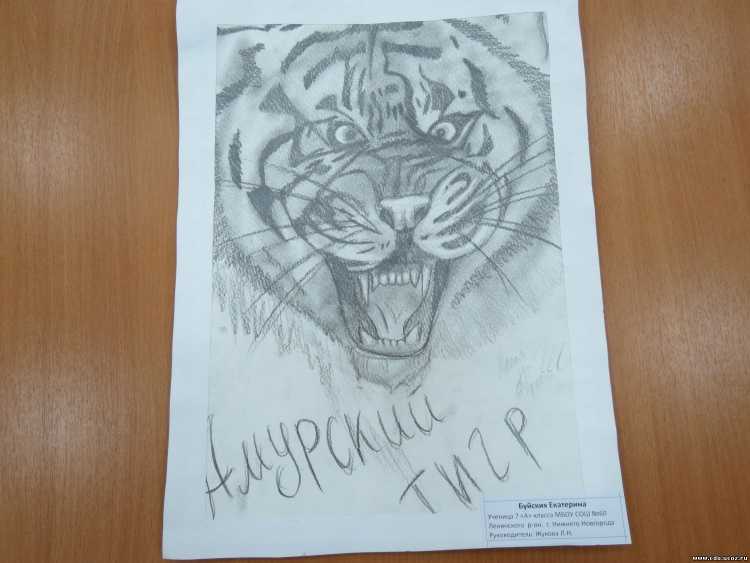 Красная книга нарисовать карандашом