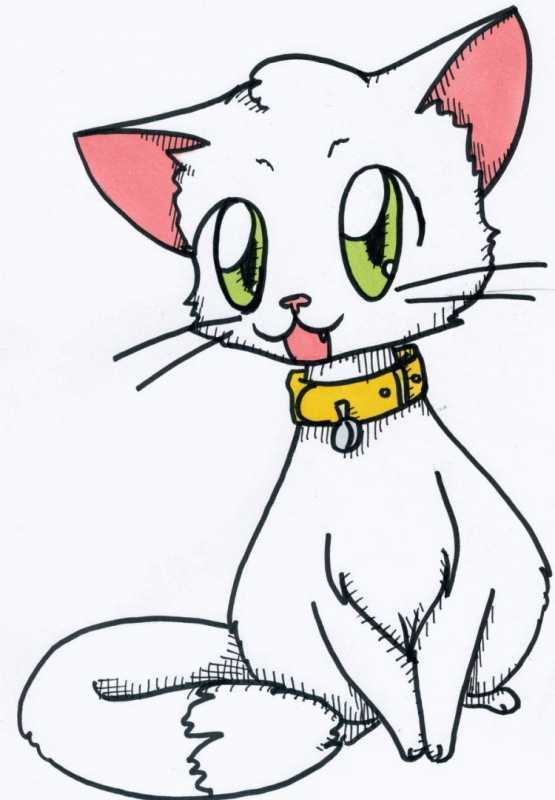 Рисунки для срисовки котики