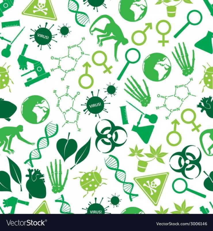 Скетч по биологии