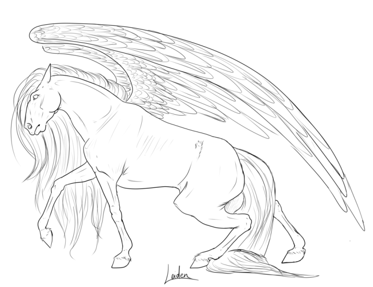 Раскраска Пегас Единорог