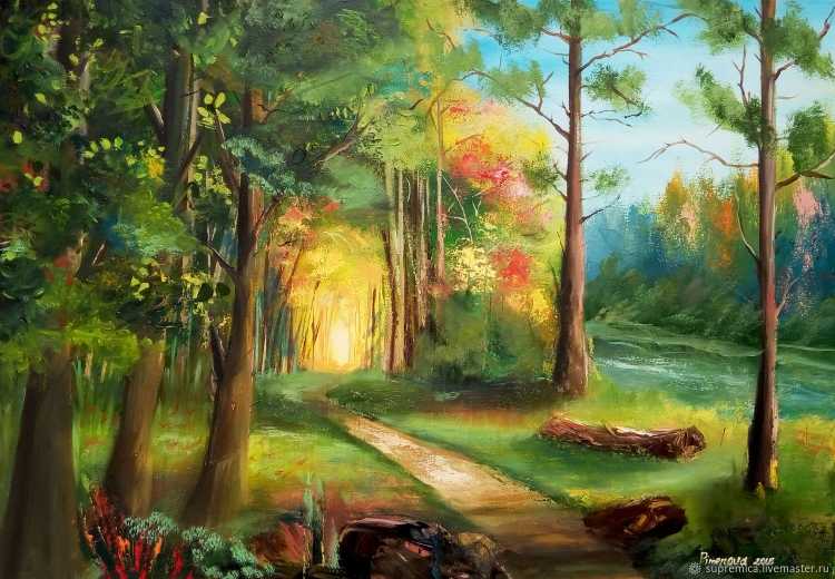 Сказочные пейзажи леса