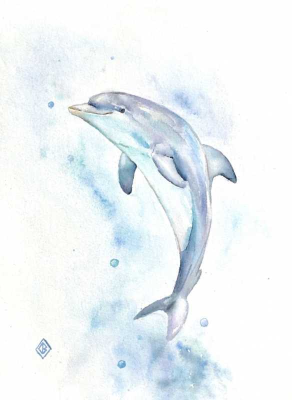 Дельфины акварелью