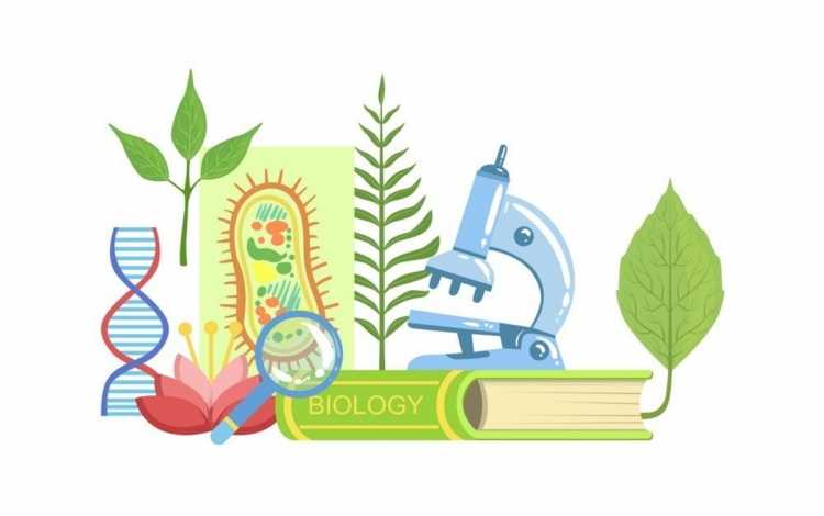 Рисование подводный мир