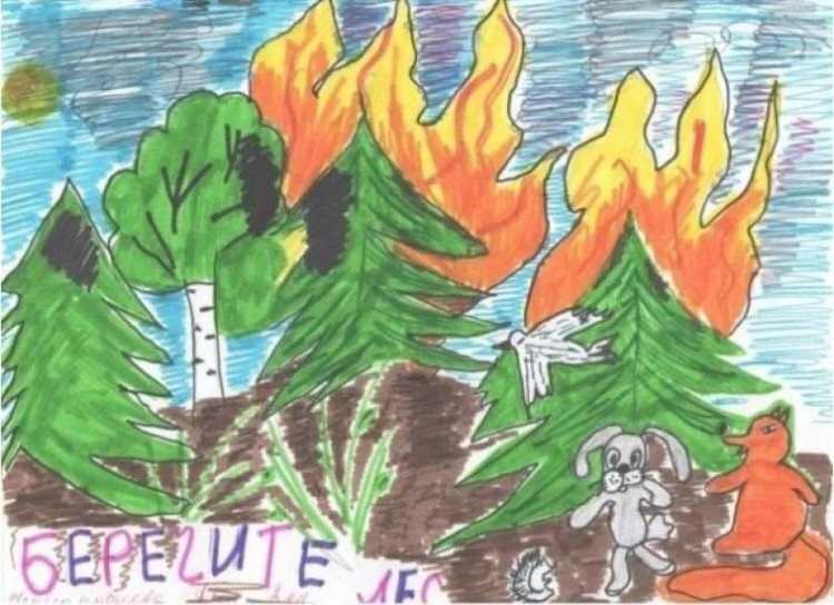 Рисунки детей на тему берегите лес от пожара