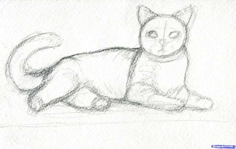 Сидячая кошка карандашом