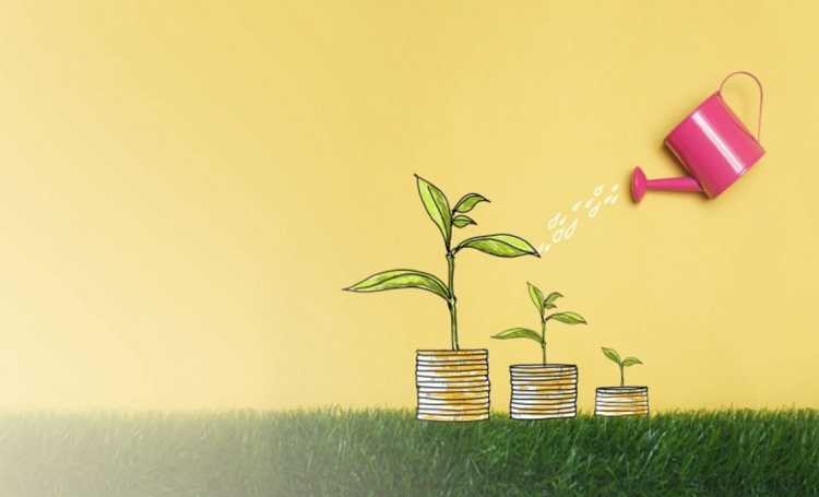 Финансовая грамотность обои