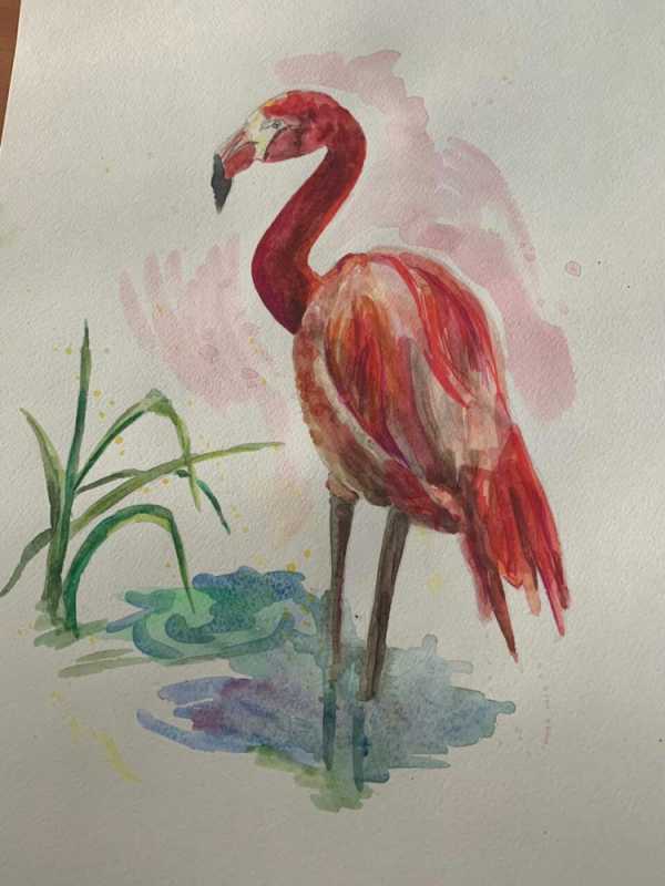 Рисовать красно книжную птицу