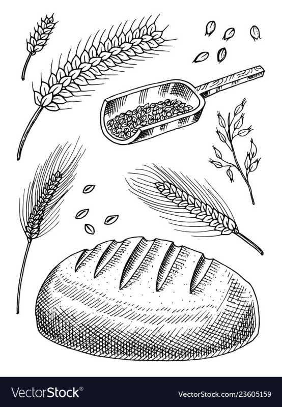 Раскраски колоски и хлеб