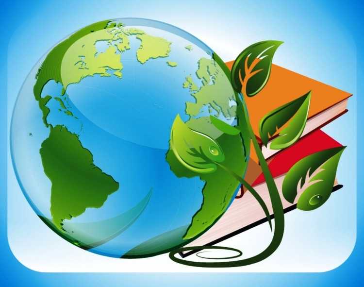 Биология паттерн