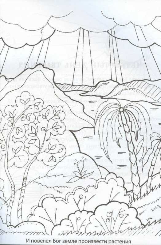 Эскизы на тему природа