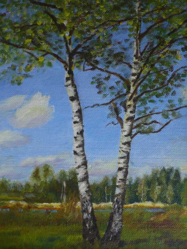 Пришвин берёзы