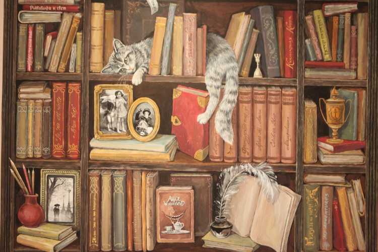 Полки для книг