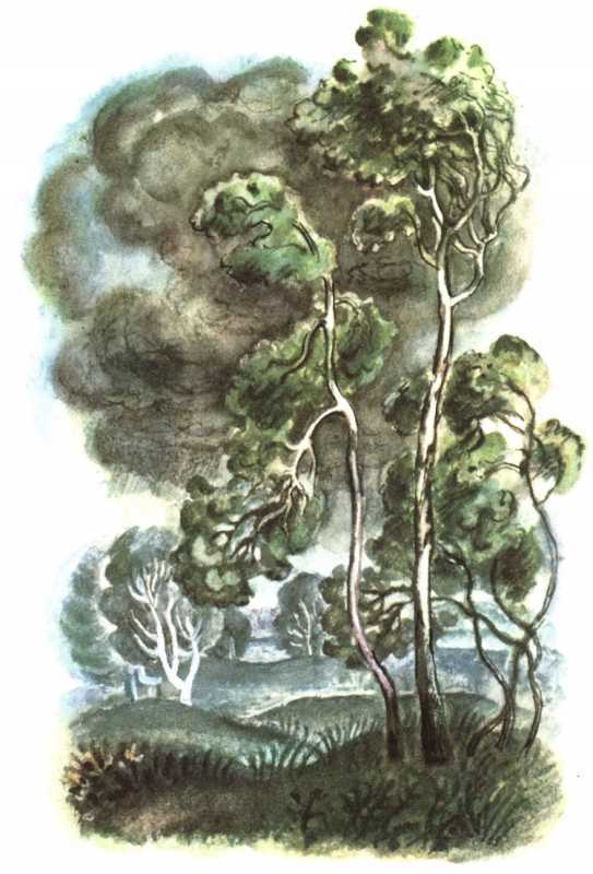 Валерий Брюсов летняя гроза