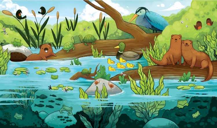 Экосистема пруда