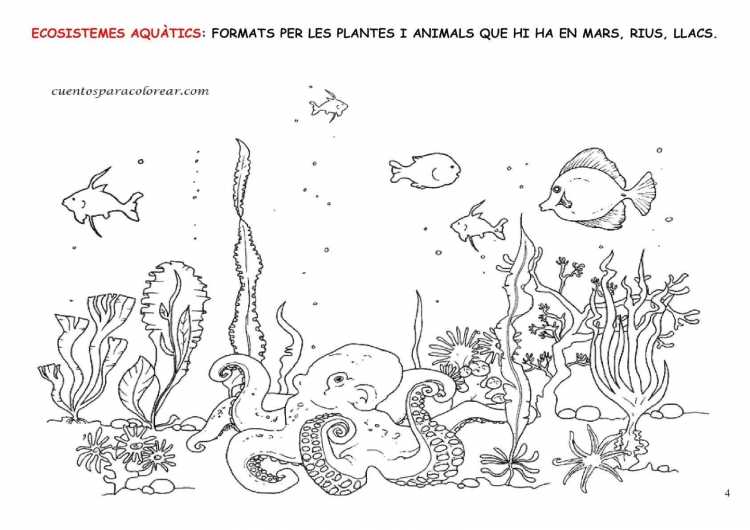 Подводный мир рисунок карандашом