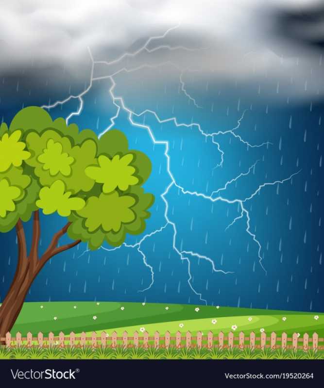 Гроза в лесу для детей