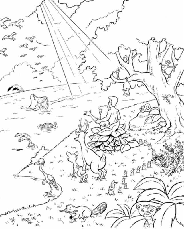 Сотворение раскраска