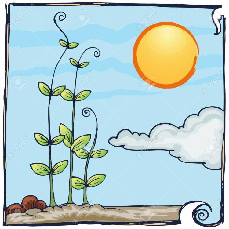 Как нарисовать Солнечный день