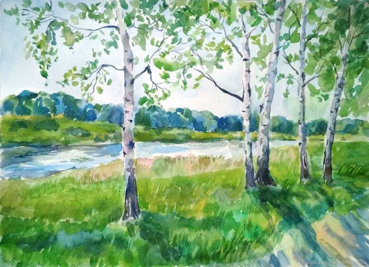 Береза акварелью