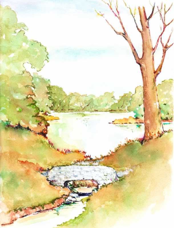 Пруд карандашом