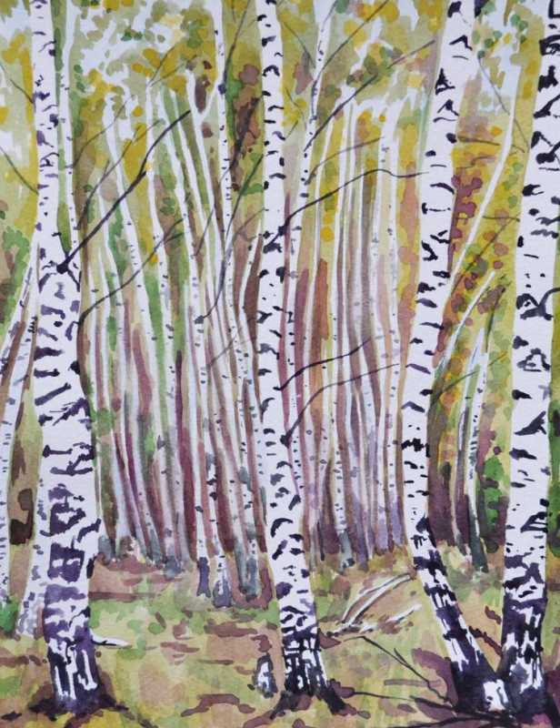 Пейзаж Березовая роща гуашью