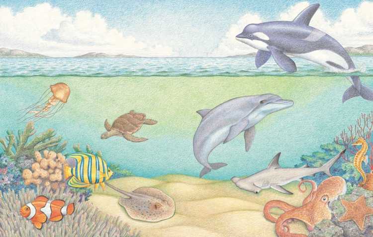 Рисунок на тему море