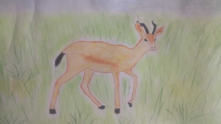 Детские рисунки природа Крыма