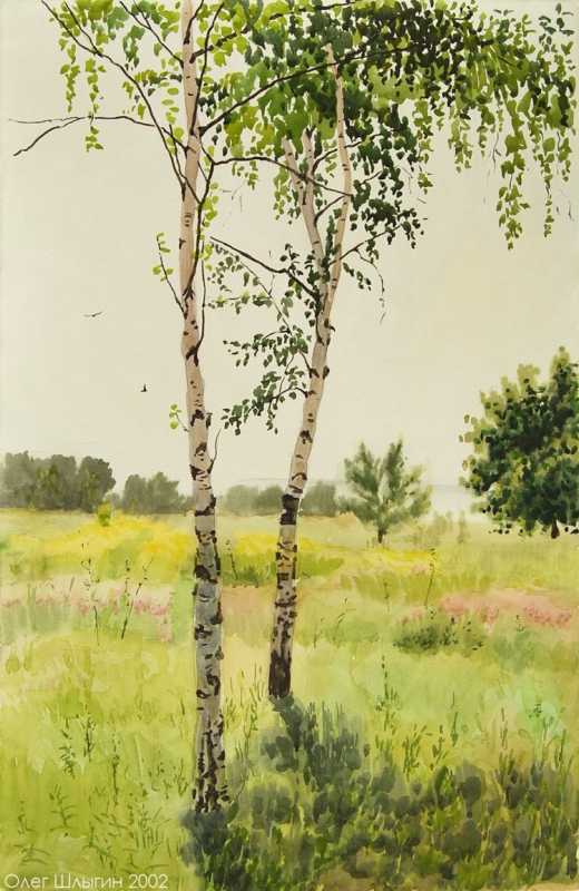 Пейзаж с березами гуашью
