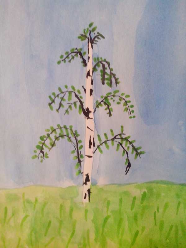 Нарисовать березу