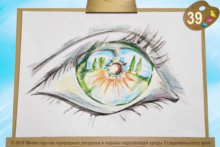 Чистый взгляд рисунок