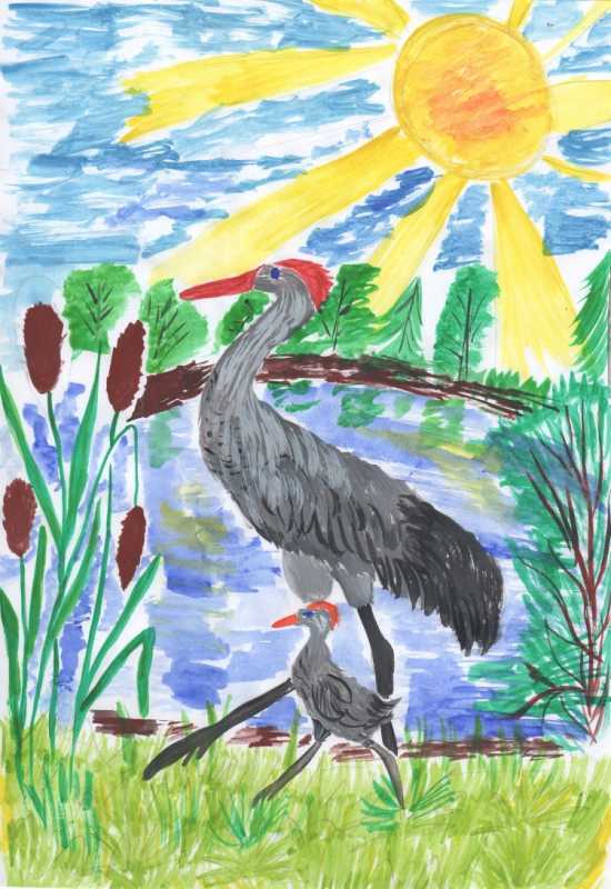 Журавель Забайкальский край рисунок