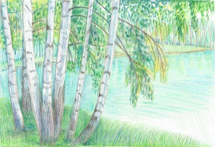 Природа родного края рисунки карандашом