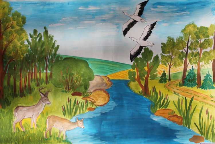 Рисунки природы